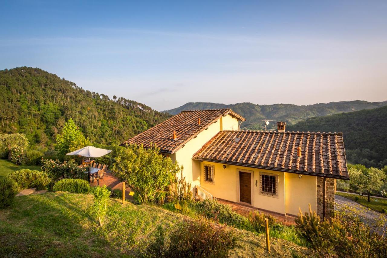 La Pianella Farmhouse Lucca Exteriör bild